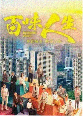 白桦林监狱 女子监狱电视剧新剧