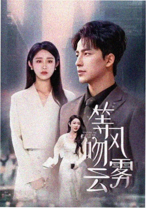 玫瑰与铁丝网 女子监狱题材电视剧